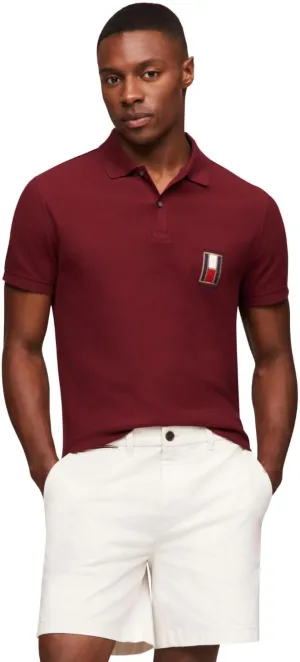 Tommy Hilfiger Men's Short Sleeve Casual Polo Shirts in Regular Fit with Stretch and Vertical Logo Designs